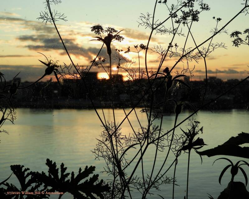 Just A Beautiful Morning (28) 