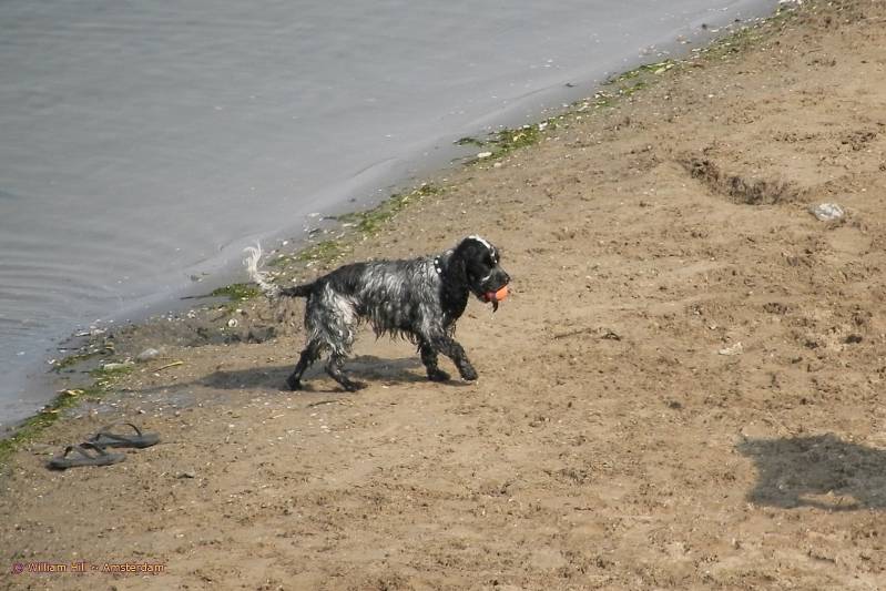 ooof, how many times must I do this?