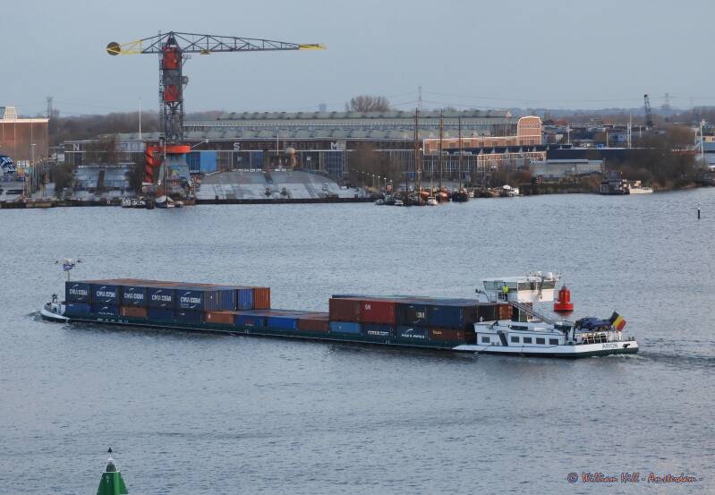 containercargo ARION