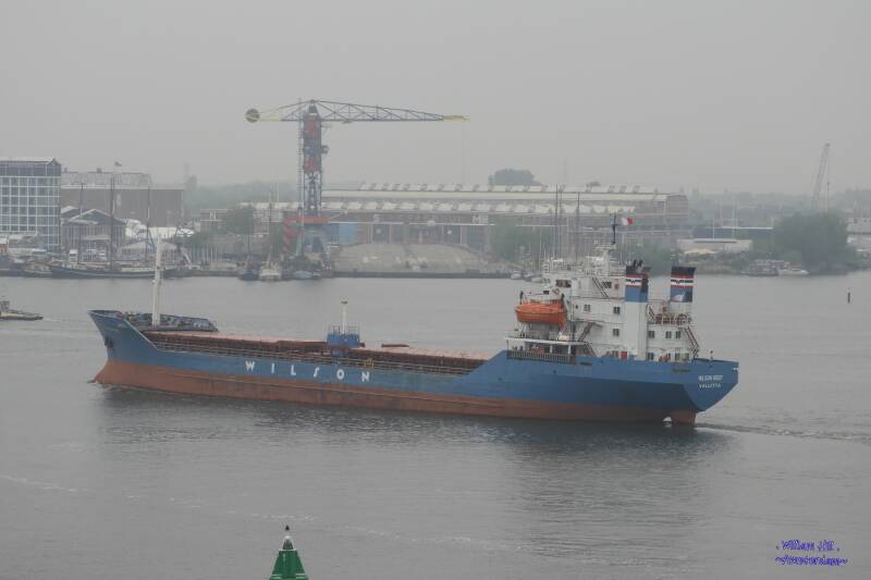 Byebye coaster WILSON REEF