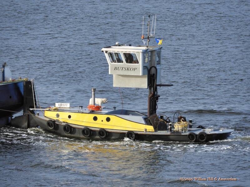 no water, hungry? or need to pee