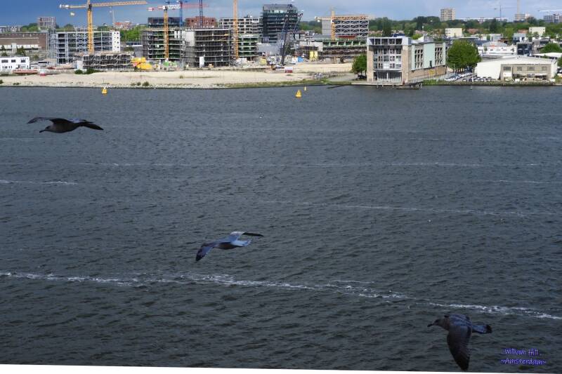 rain, stormy, hail.. what more