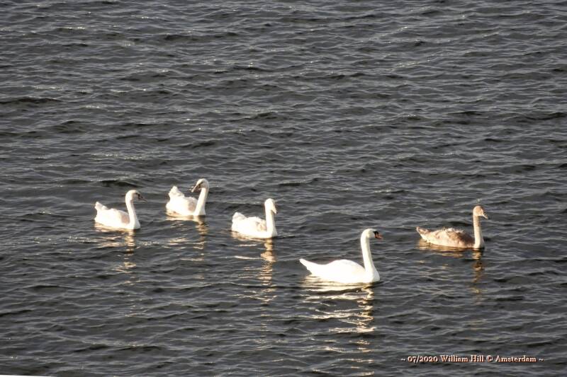 22/07, chatting Teenagers