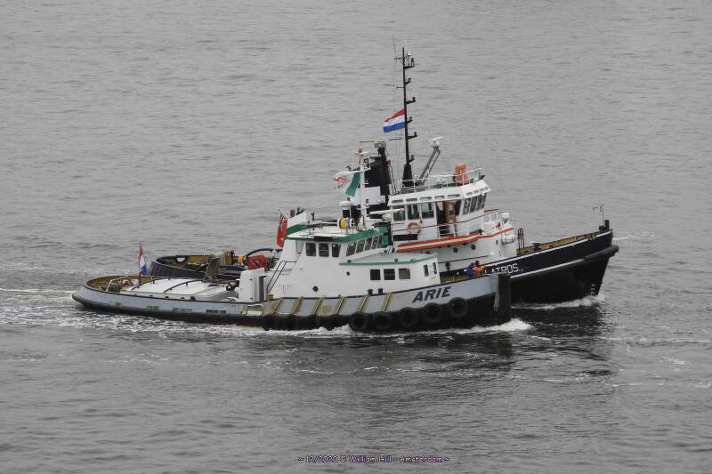 ARIE  &amp;  ALBATROS