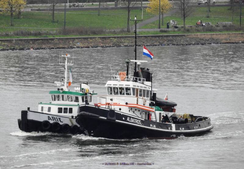 ALBATROS  &amp;  ARIE