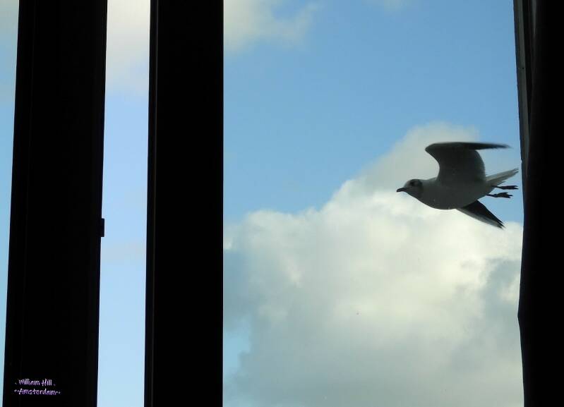 (10.12) - taking a look to see if I am in