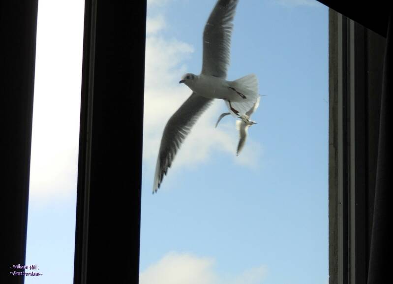 (10.12) - "Ah there you are"...., "Guys!"