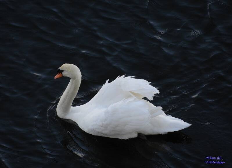 testing the child carrier