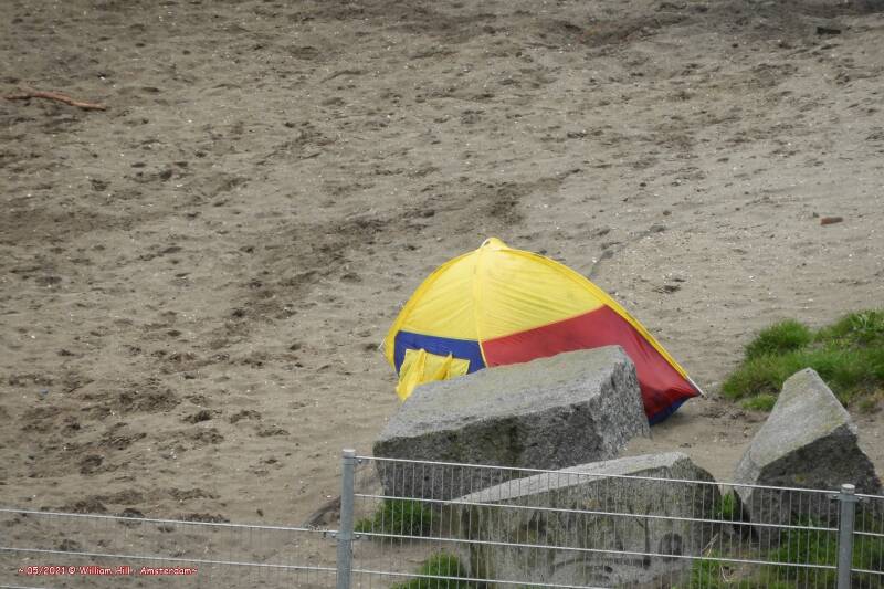 no weather to get up early today