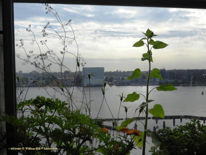 cloudy morning goes and blue is coming