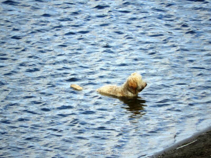 &quot;Aaaah, this is nice&quot;