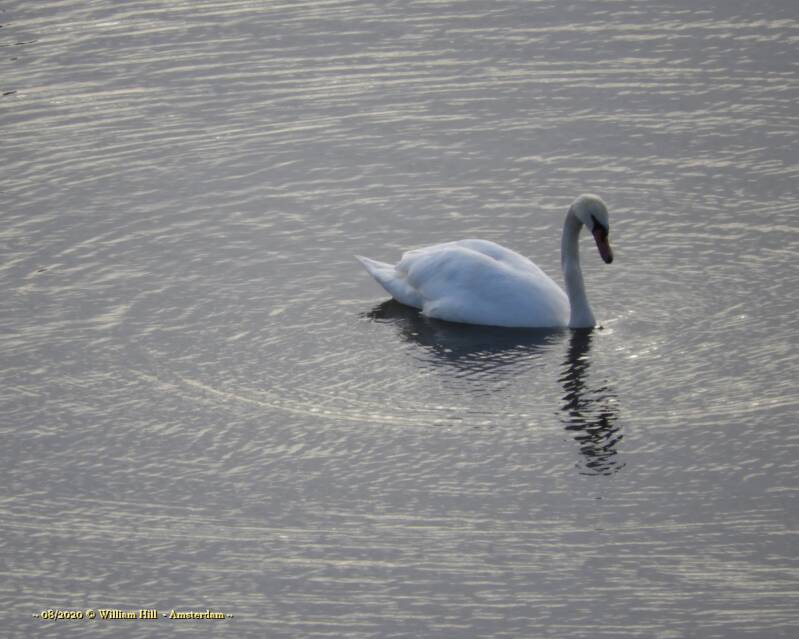 making wrinkles in the water, round and round it goes