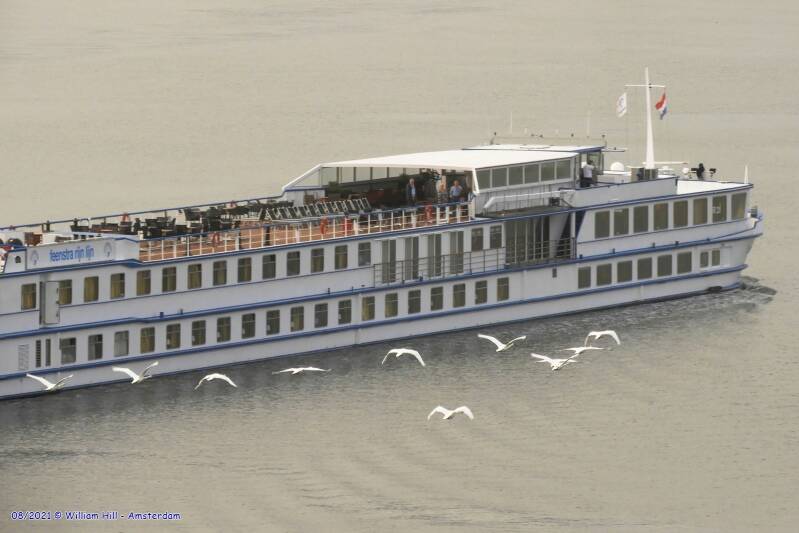 they go early for the best bargains