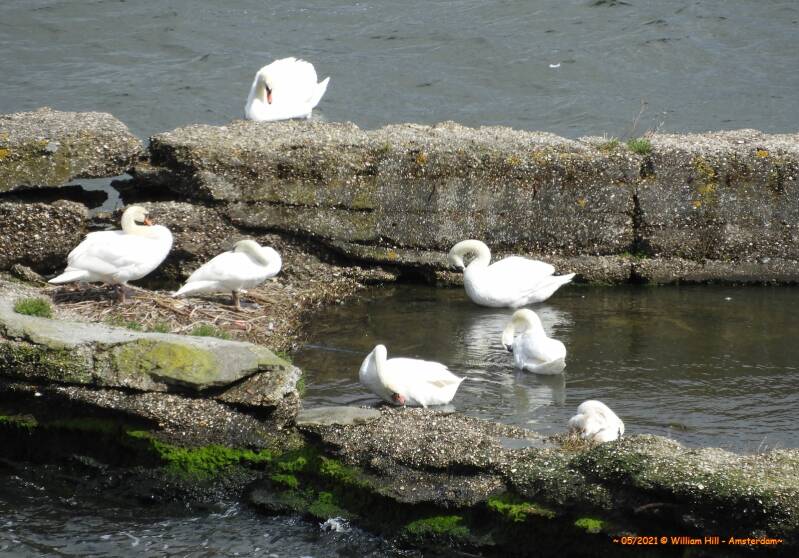 it seems that it could happen at any time, there are so many visitors