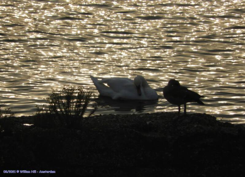 those that had nightshift are making ready to go to bed