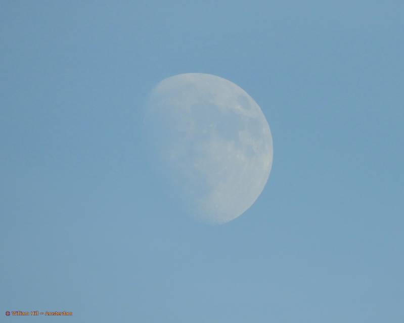 (06) at 15:01, first time I see her/him/it this year