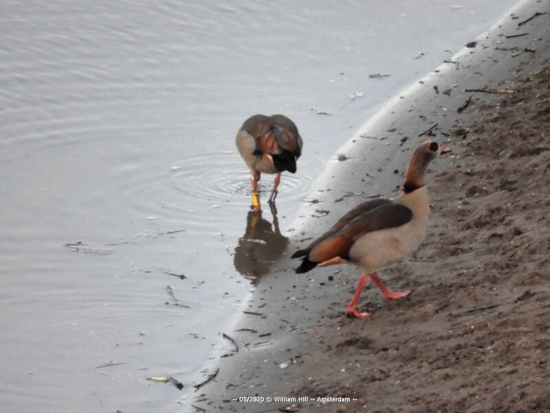 &quot;come on Dear, let&#039;s explore&quot;