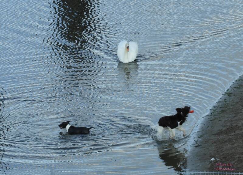 and now quick-quick out of here