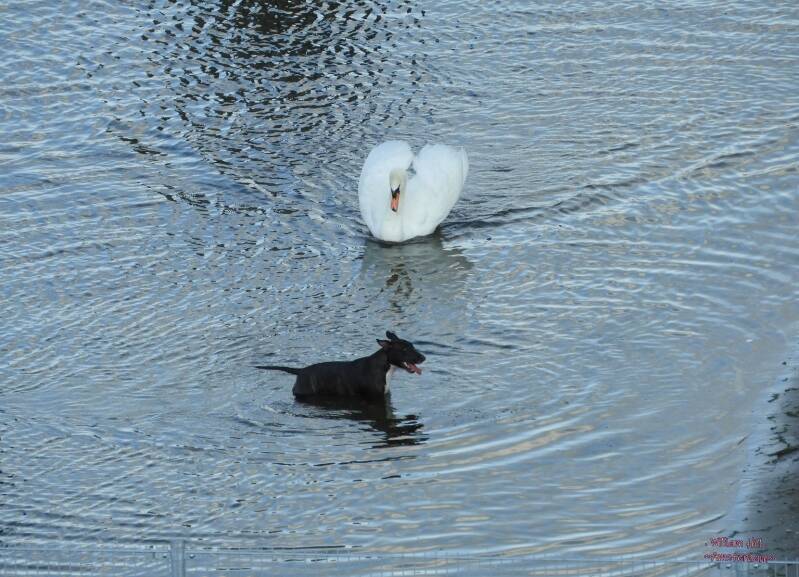 hisssssss, Master may I come out too..?