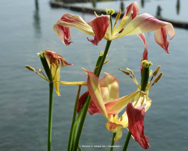 (03) - already at their end but still opening 