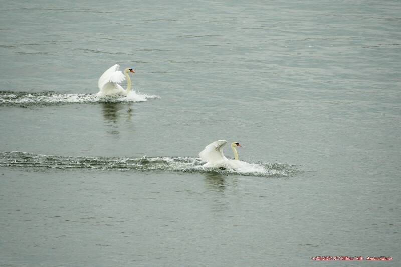 ..and land on their ass