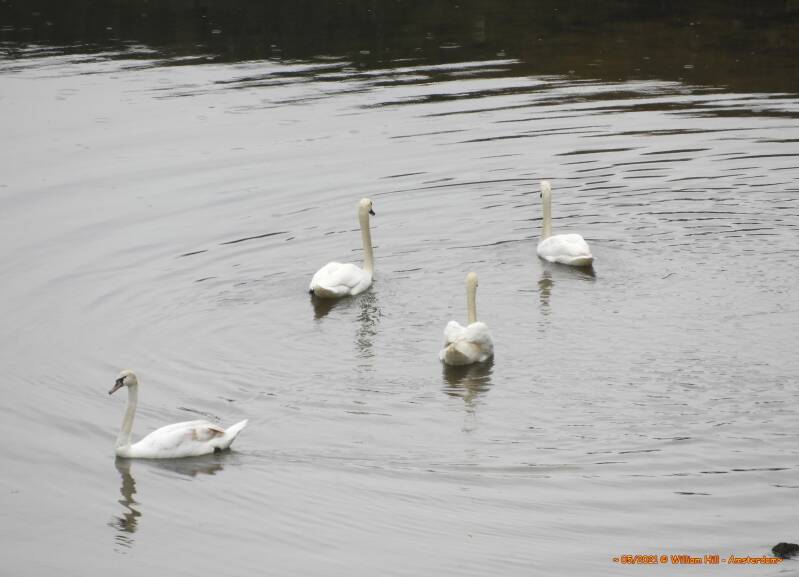 No, we don't talk with you