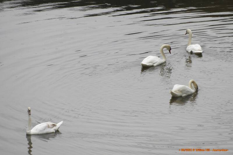 tsss, well than I don't talk to you either