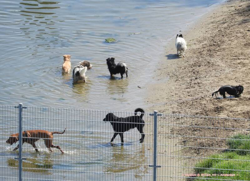 ..and everyone is doing his/her own thing