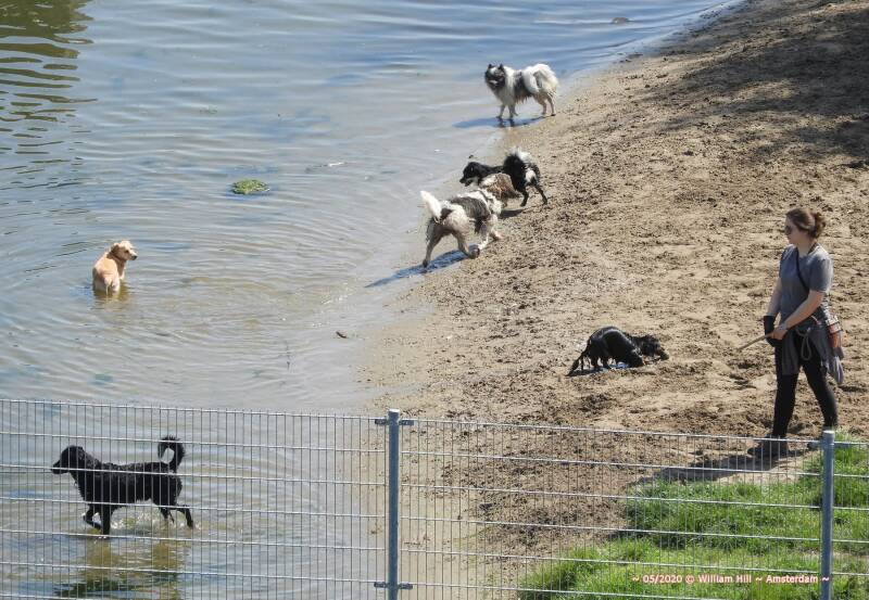 and nobody is interested in the lady with a stick or maybe the orange one, but the rest.. no not really