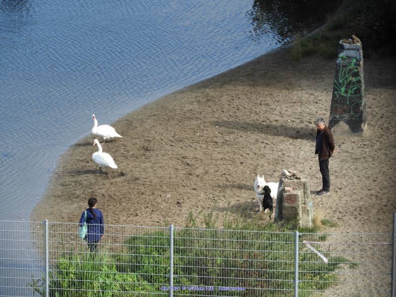 no threat but to avoid any danger