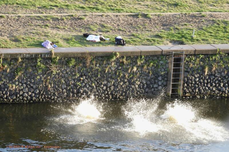 to celebrate the new year with a dive in the water.. brrr