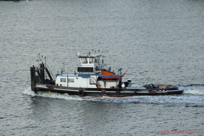 tug LABIATA