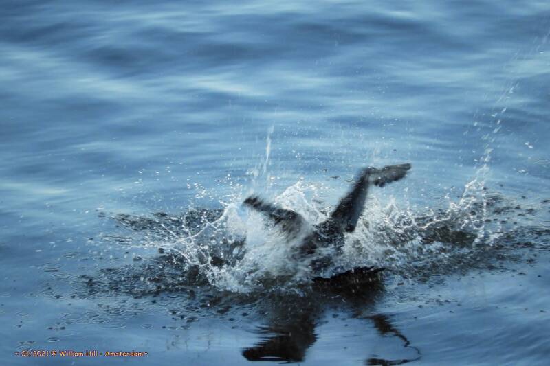taking a New Year&#039;s Day bath