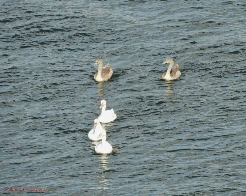 &#039;We will, Bye Dad&#039;