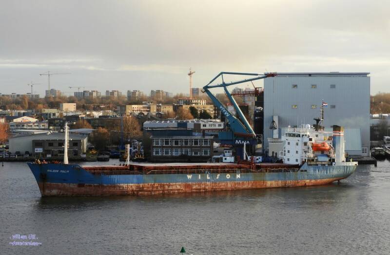 (03.01)   'Wilson Malm' 