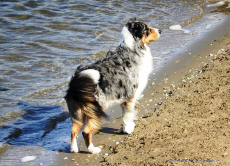 Oops, a cold wind from behind in my behind