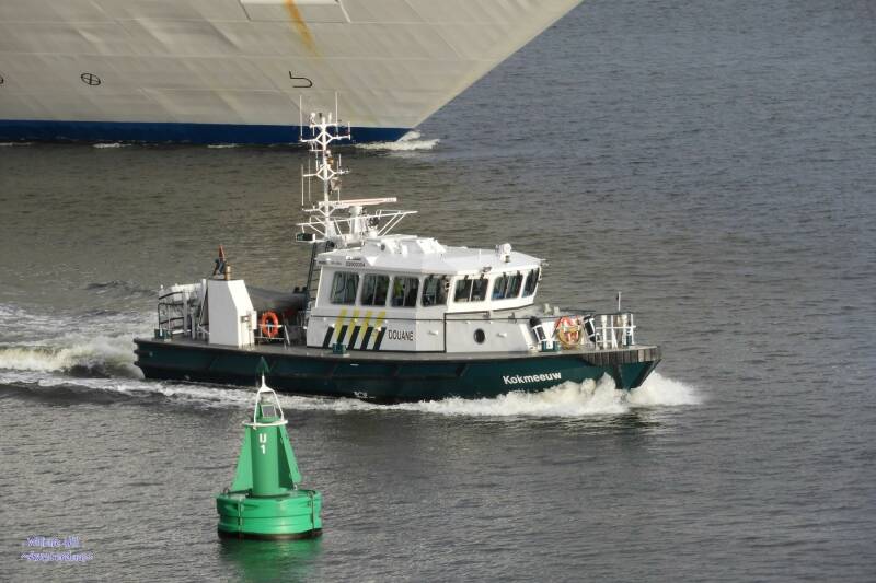 (06.01)   'Kokmeeuw'