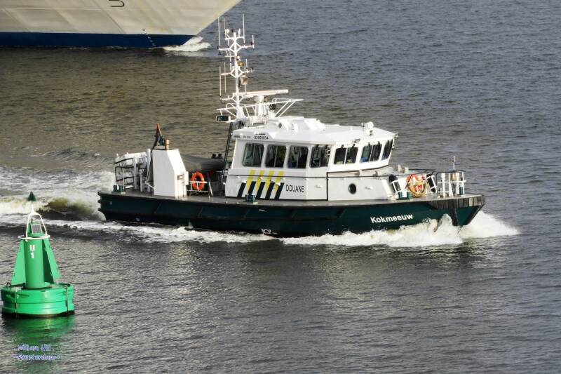 (06.01)   'Kokmeeuw'