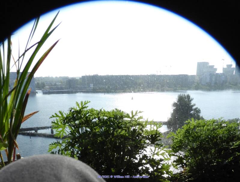 semi garden overview :D