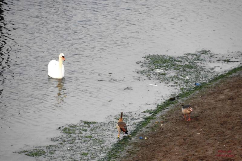 hello.. I come to chase you away