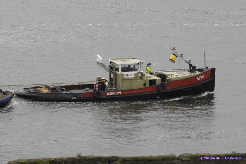 (23)  -  KIEVIT (a.k.a. KID)