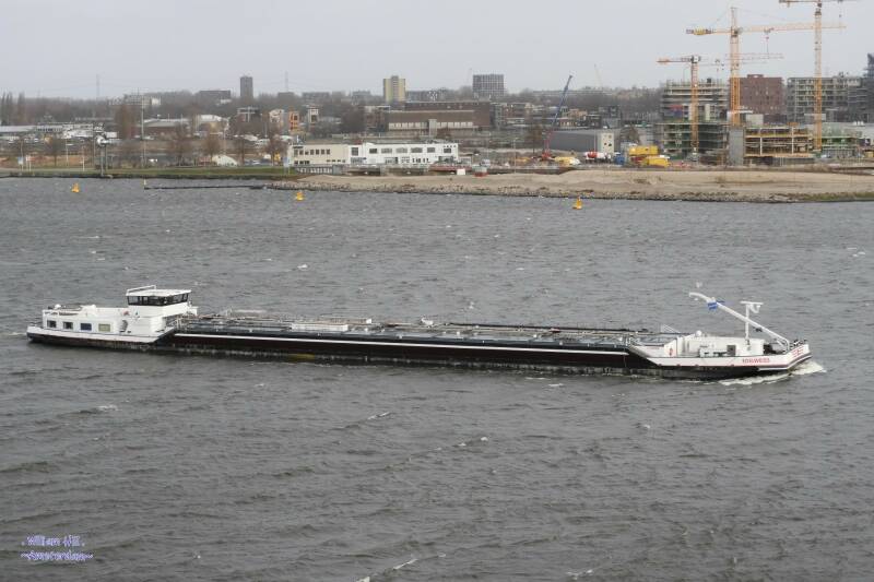 (08.01)   'Edelweiss'