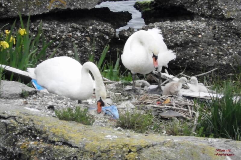 (20/5) two more today