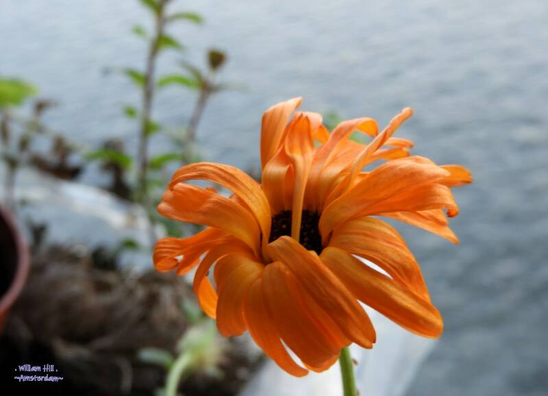 (09.01)   eew, had a cold night?