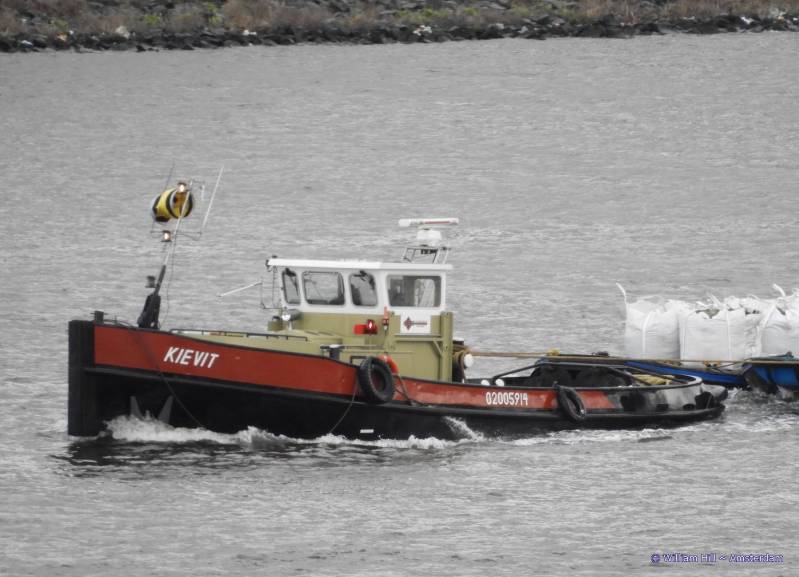 (29)  -  KIEVIT  (aka KID)