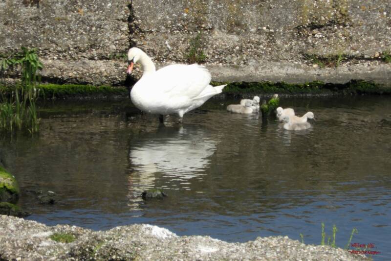 having fun in the water