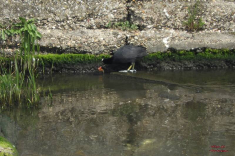 and there is more NEW LIFE