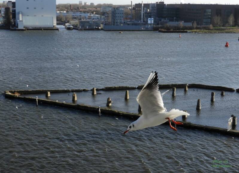 (14.01)  'going down'