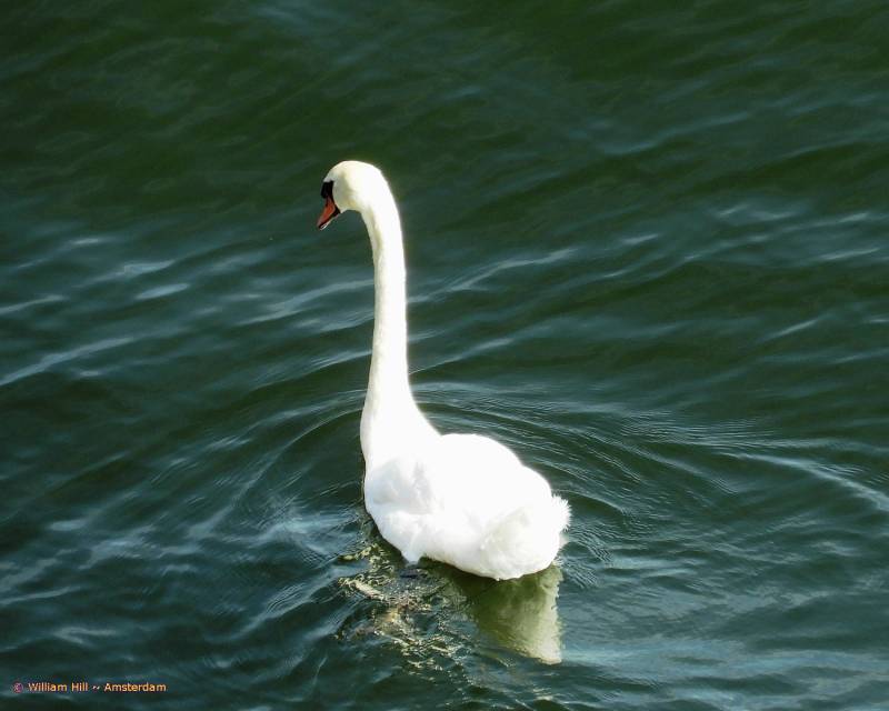 and a still proud but sad dad