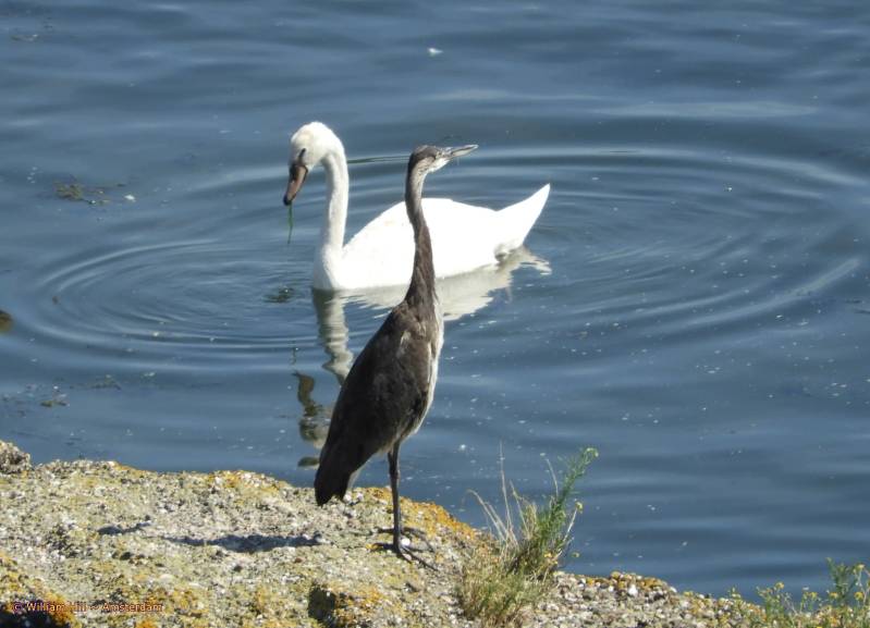 and Doc, was it dark?